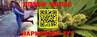 гашик Кунгур