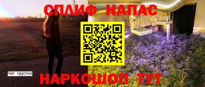 гашик Кунгур