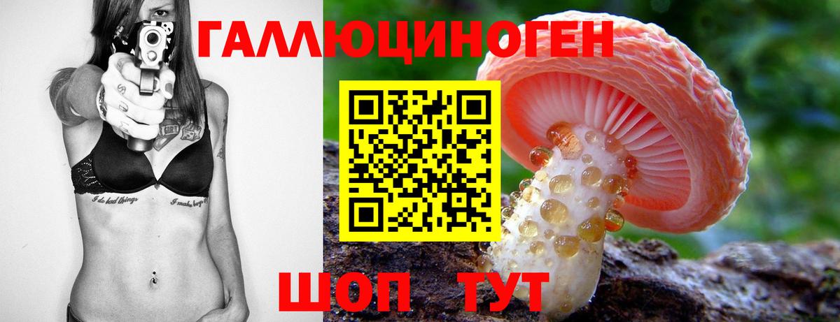 Гуково  цены наркотик  Вход с VPN  Галлюциногенные грибы мицелий 