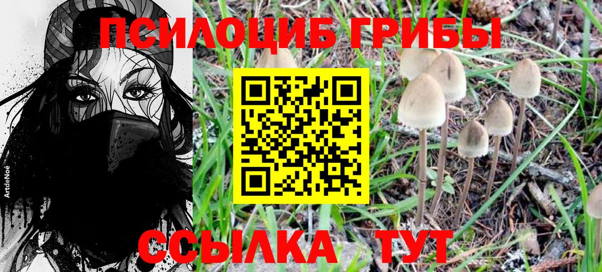 Псилоцибиновые грибы Magic Shrooms Гуково